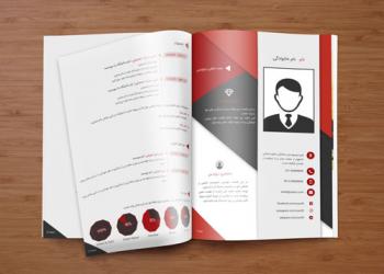 دانلود نمونه رزومه کاری لایه باز حرفه ای PR-301 - نمونه رزومه فارسی